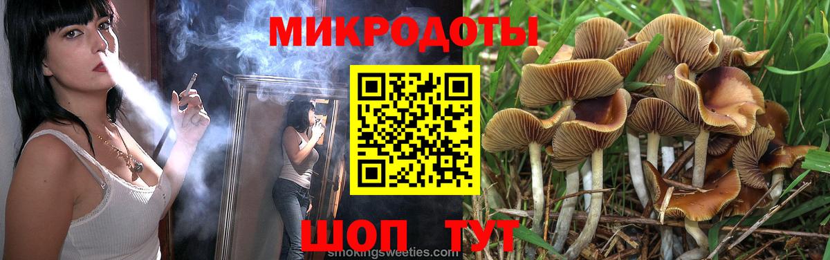 Вязники  Псилоцибиновые грибы GOLDEN TEACHER  Вход с VPN 